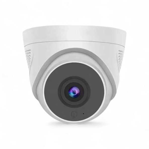 WiFi Beveiligingscamera Dome Plafondmontage Basic