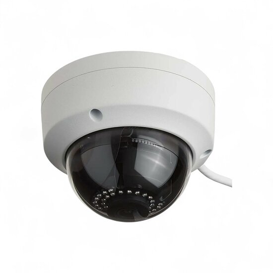 Wifi Beveiligings Camera dome/plafond montage 4MP