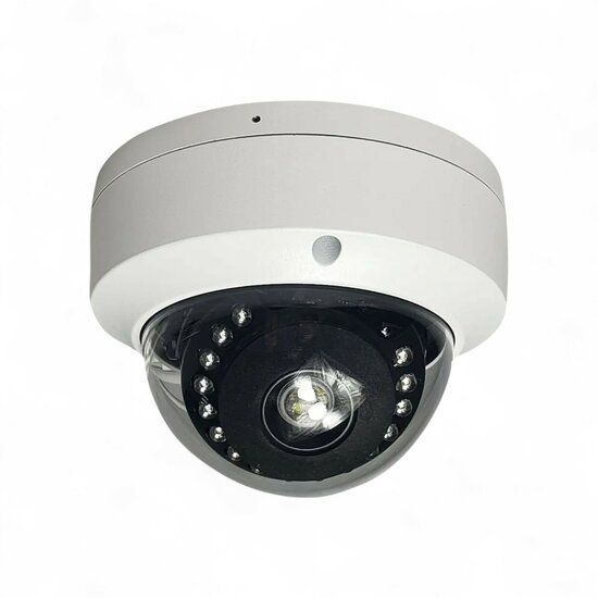 Wifi Beveiligings Camera dome/plafond montage 4MP