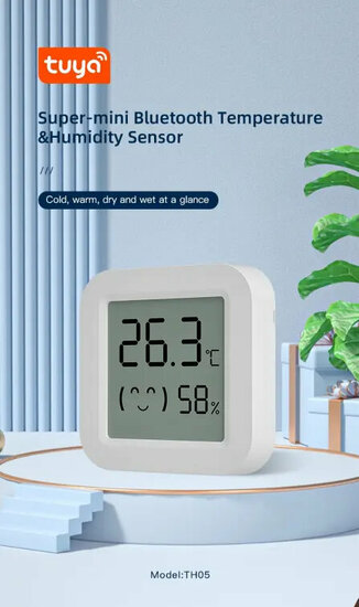 Luchtvochtigheid en Hygrometer met klein display