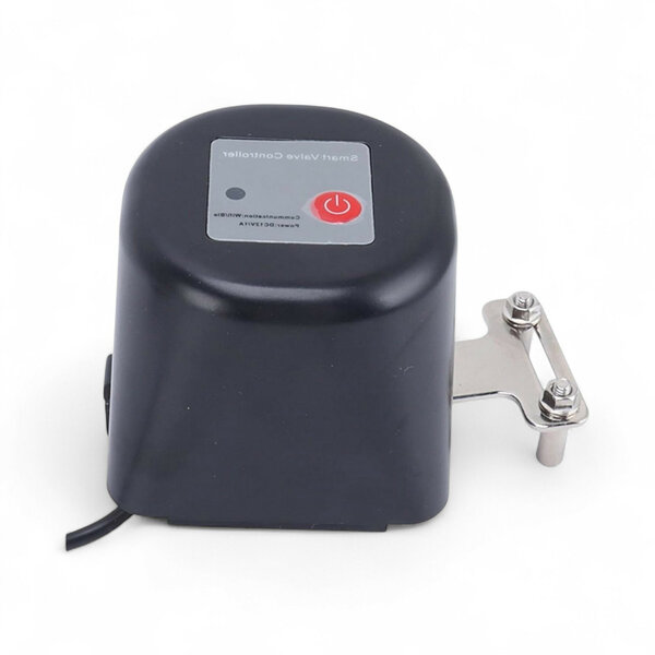 Contrôle intelligent de la vanne d'eau Wifi (robinet principal)