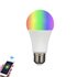 E27 Gloeilamp model RGB smartlamp enkel_