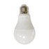 E27 Gloeilamp model RGB smartlamp enkel_