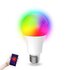 E27 Gloeilamp model RGB smartlamp enkel_