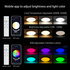 Smart Plafond verlichting 20w 2700K-6500K RGBCW_